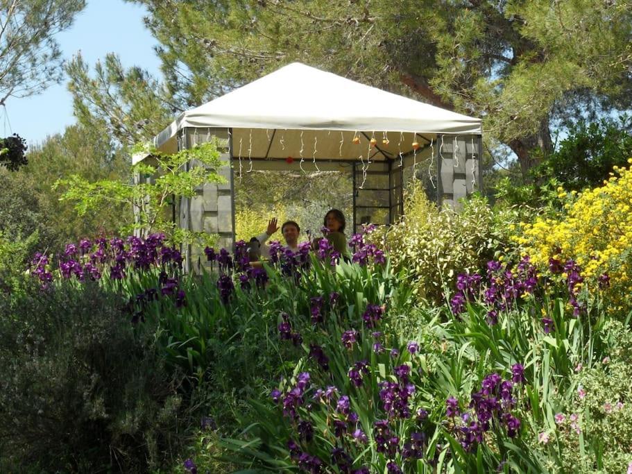 לאמבסק L'Oliveraie En Provence מראה חיצוני תמונה